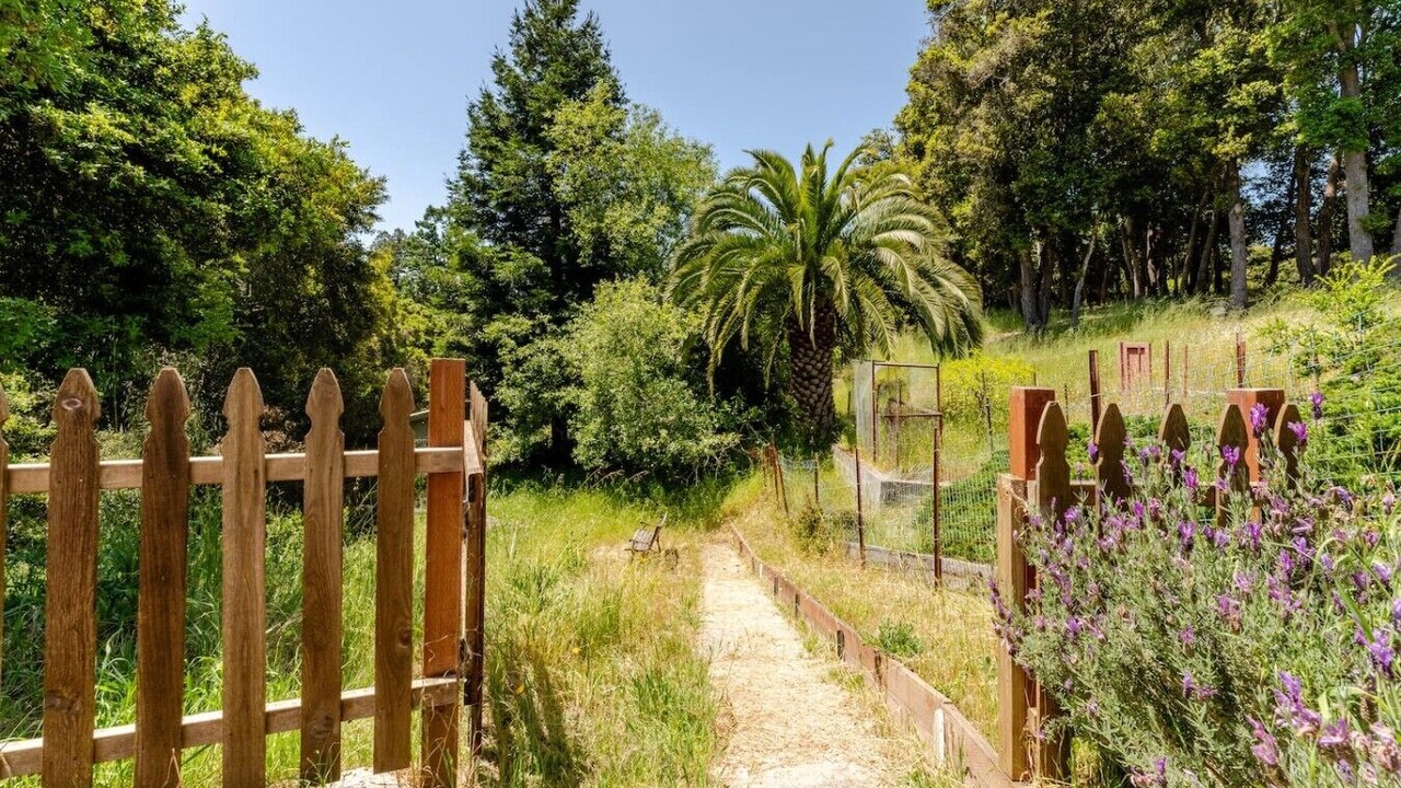 Photo of Outdoor in Aptos