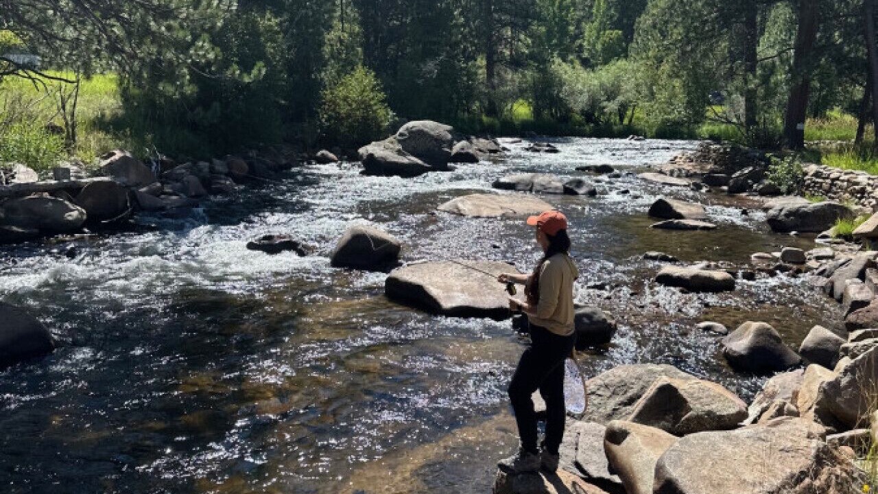 Photo of Others in Estes Park
