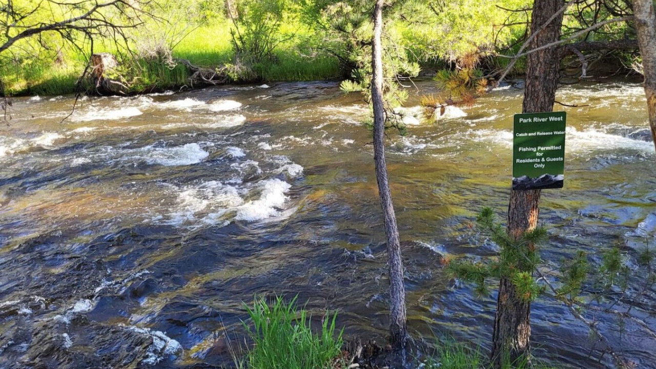 Photo of Others in Estes Park