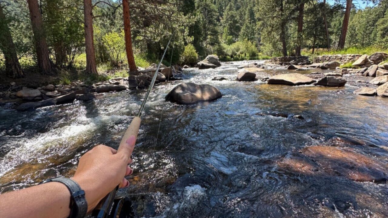 Photo of Others in Estes Park
