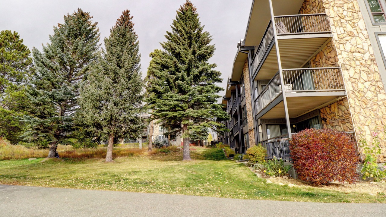 Photo of Outdoor in Dillon