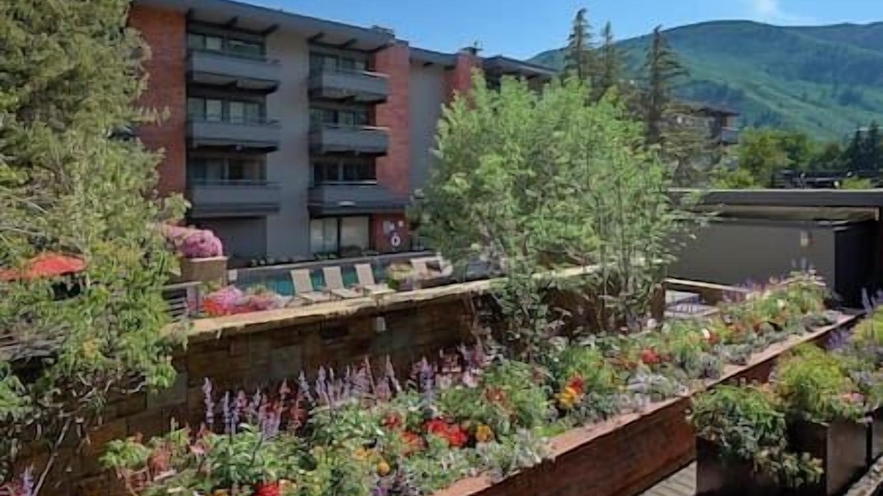 Photo of Outdoor in Aspen