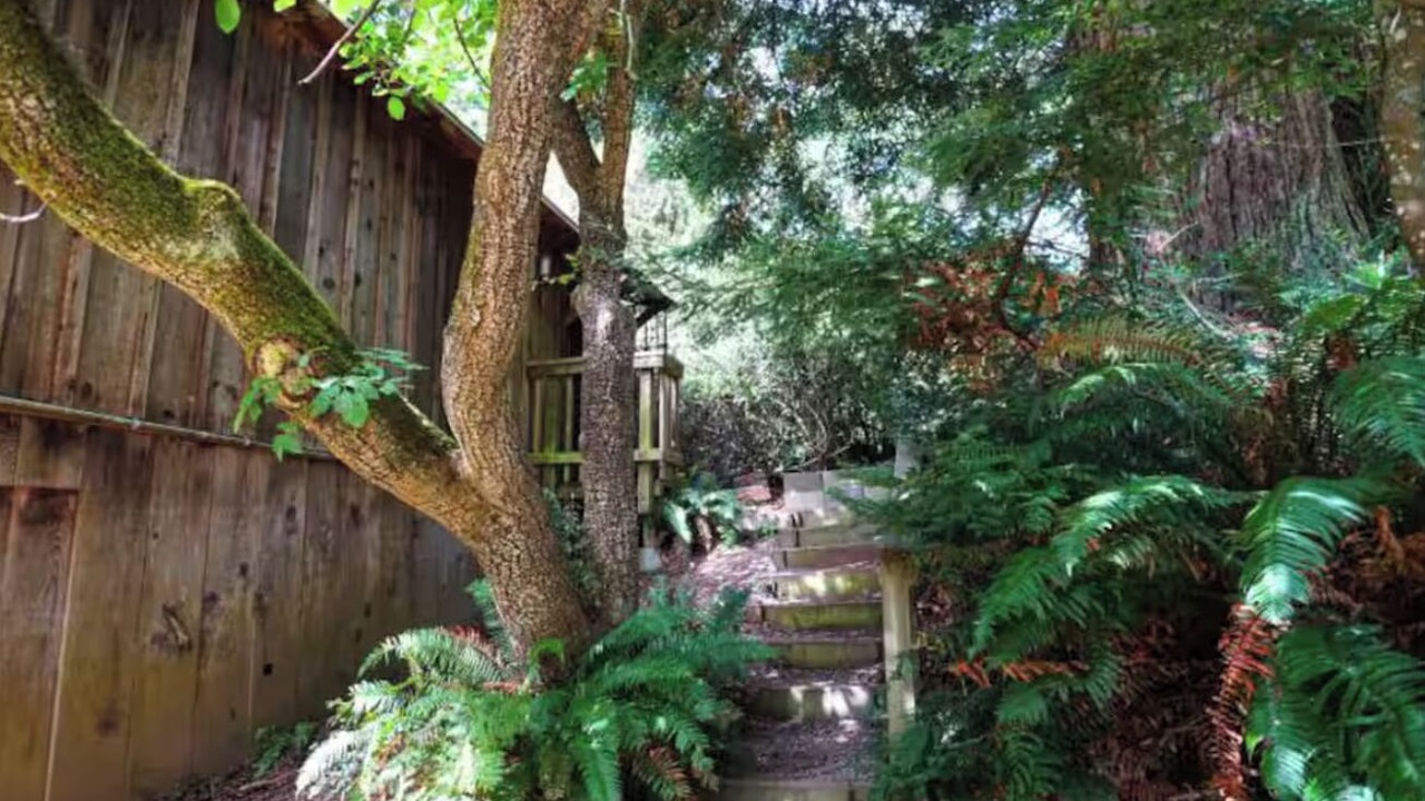 Photo of Outdoor in Arcata