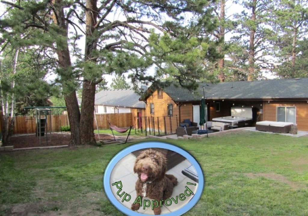 Photo of Others in Estes Park