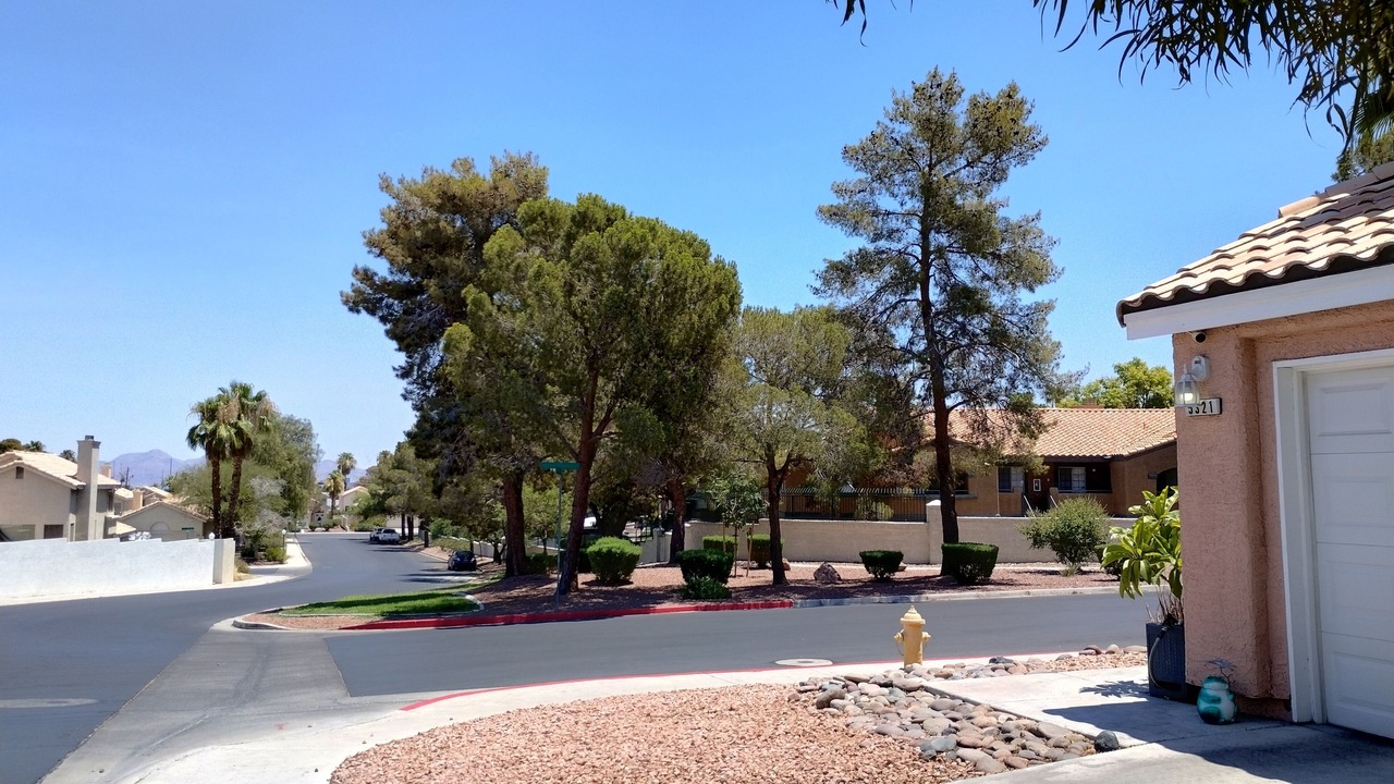 Photo of Outdoor in Las Vegas