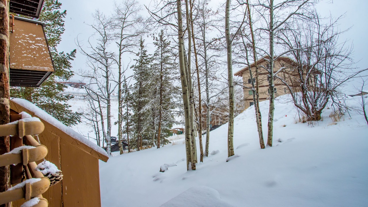 Photo of Others in Steamboat Springs