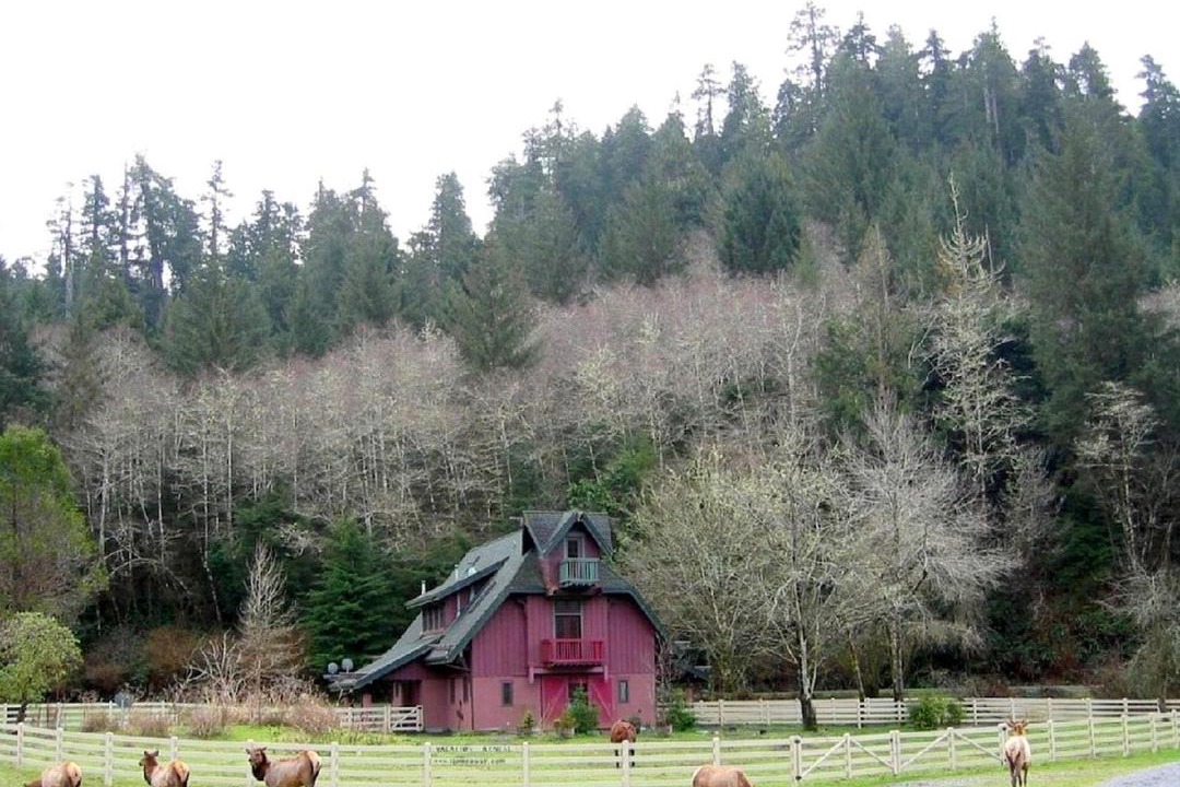 Photo of Others in Berry Glenn