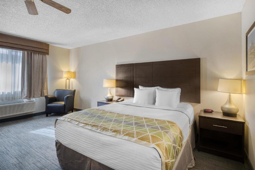 Photo of Bedroom in Montrose