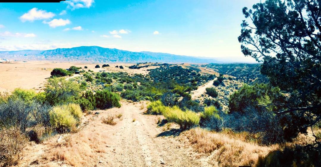 Photo of Others in New Cuyama