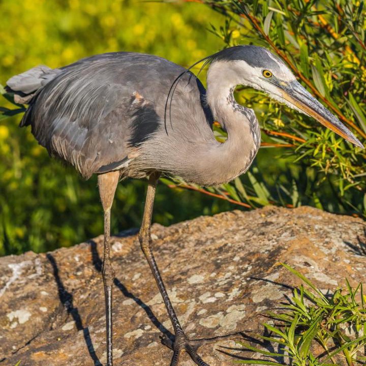 Photo of Others in Morro Bay