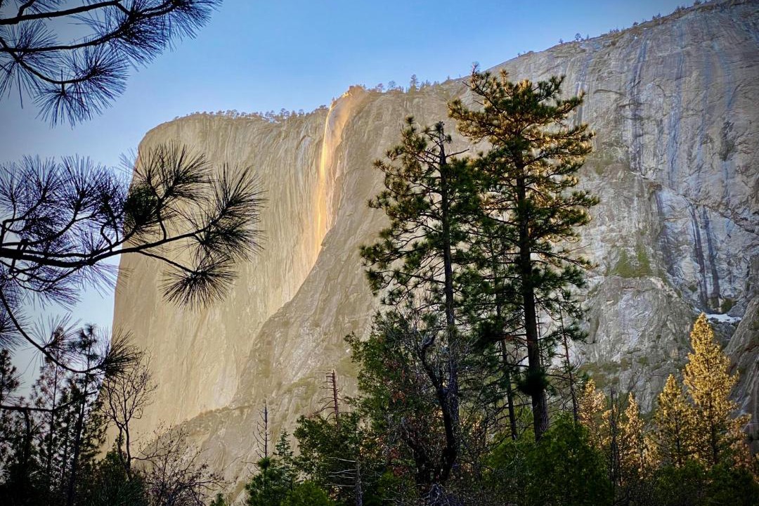 Photo of Others in Mariposa
