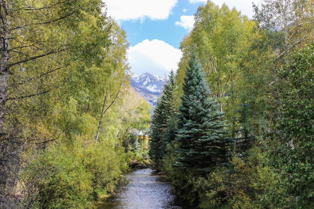 Photo of Others in Telluride
