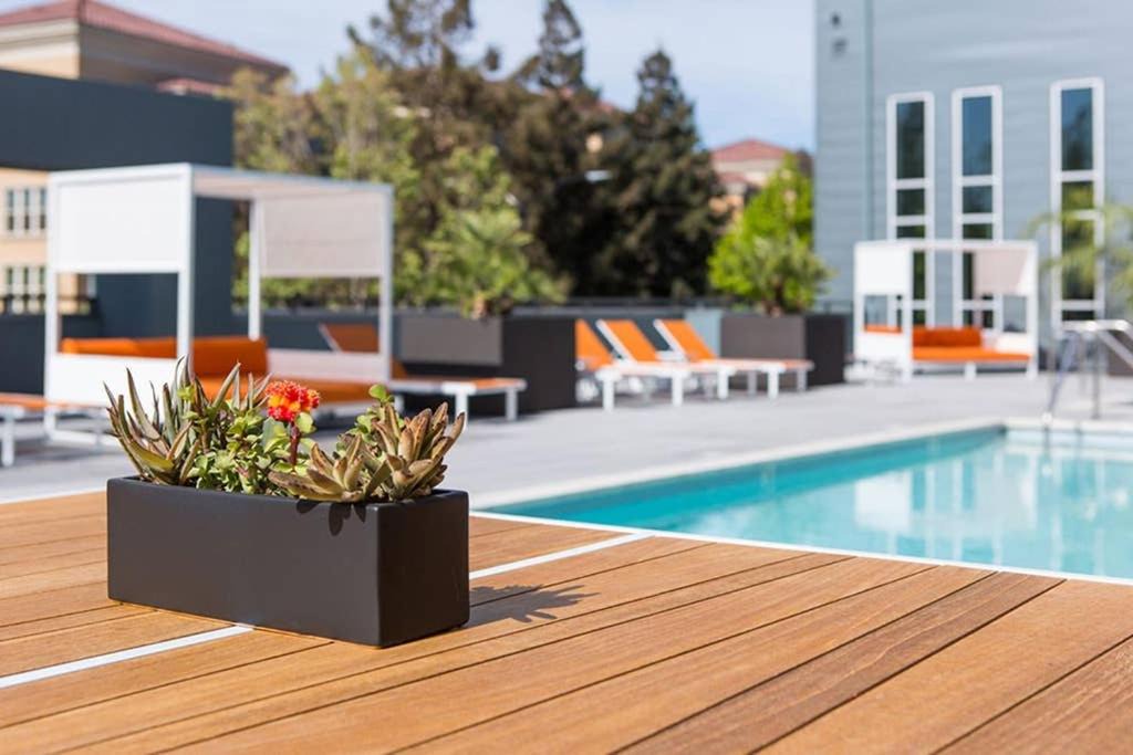 Photo of Outdoor in North San Jose
