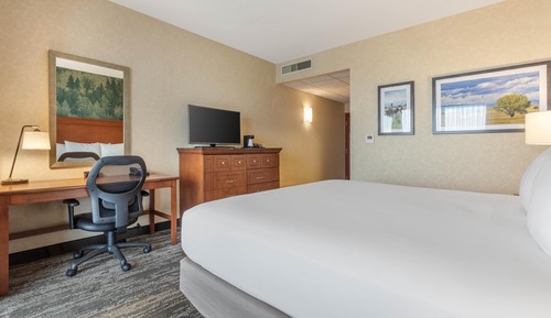 Room, 1 King Bed, Accessible (Roll in Shower)