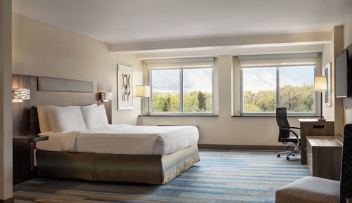 Suite, 1 King Bed and Sofa Bed, Mountain View