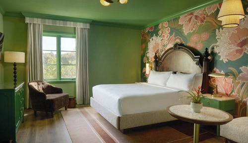 Room, 1 King Bed