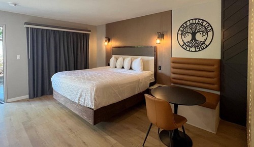 Standard Room, 1 King Bed, Non Smoking