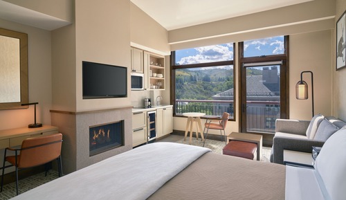 Standard Studio Suite, 1 King Bed with Sofa bed, Accessible, Fireplace (Hearing Accessible)