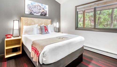 Adventure Queen Suite