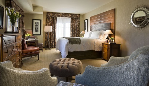 Room, 1 King Bed