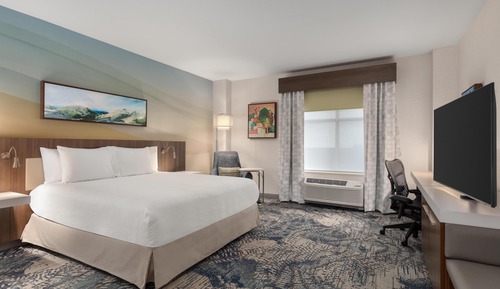Room, 1 King Bed, Accessible, Non Smoking (w/ roll-in shower)