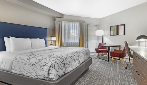 Standard Room, 1 King Bed, Non Smoking, Kitchenette