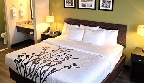 Standard Room, 1 Queen Bed, Accessible Bathtub (Mobility Accessible)