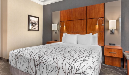 Standard Room, 1 King Bed, Accessible, Non Smoking