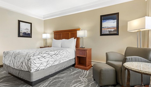 Standard Room, 1 Queen Bed, Non Smoking, Refrigerator & Microwave
