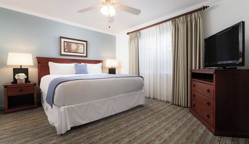 Dolphin Suite