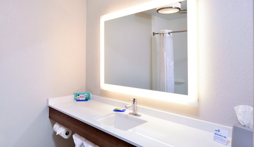 Standard Room, 1 King Bed, Accessible (Roll-In Shower, Communications)