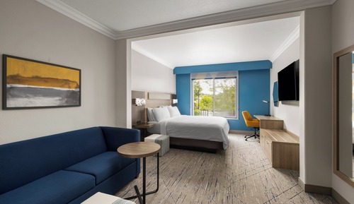 Standard Room, 1 King Bed with Sofa bed