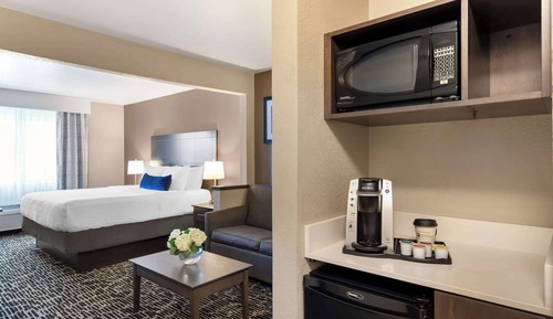 Suite, 1 King Bed, Non Smoking, Refrigerator & Microwave (with Sofabed)