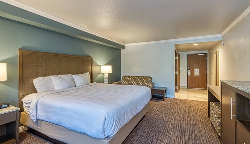 Standard Room, 1 King Bed, Accessible, Non Smoking (Roll-In Shower)