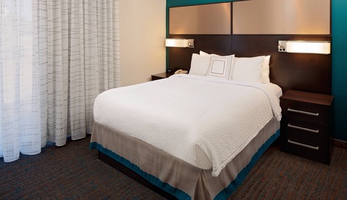 Studio, 1 Queen Bed with Sofa bed
