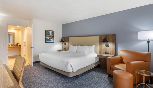 Standard Room, 1 King Bed, Accessible, Non Smoking