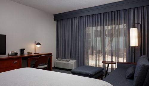 Basic Room, 1 King Bed with Sofa bed (Mobility/Hearing Access, Roll-in Shwr)