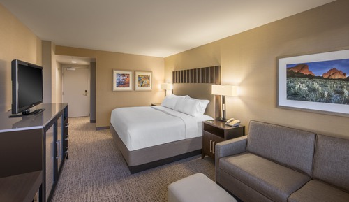 Standard Room, 1 King Bed with Sofa bed