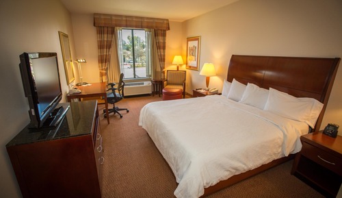 Room, 1 King Bed, Accessible, Non Smoking (Roll-in Shower)