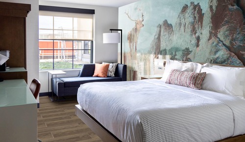 Room, 1 King Bed, Roll-in Shower, Non Smoking