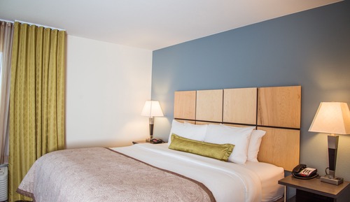 Suite, 1 Bedroom