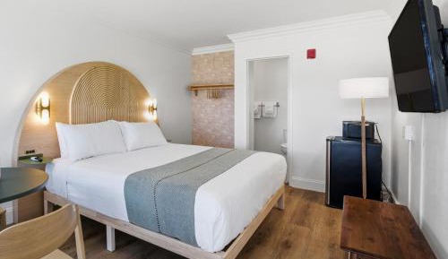 Deluxe King - Renovated