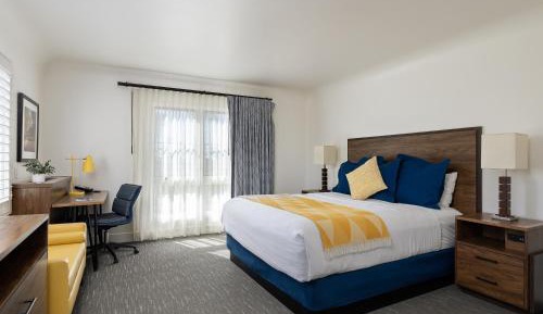Deluxe Room with 1 King bed