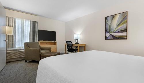 King Suite with Walk-In Shower and Sofa Bed - Disability Access/Non-Smoking
