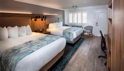 Queen Room with Two Queen Beds - Non-Smoking