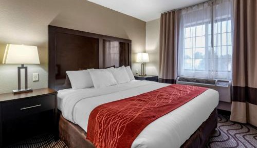 Business King Suite with Sofa Bed - Non-Smoking