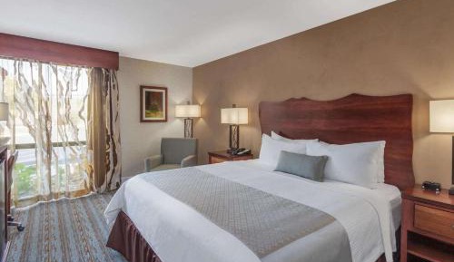 King Room with Roll-in Shower - Mobility Accessible/Non-Smoking