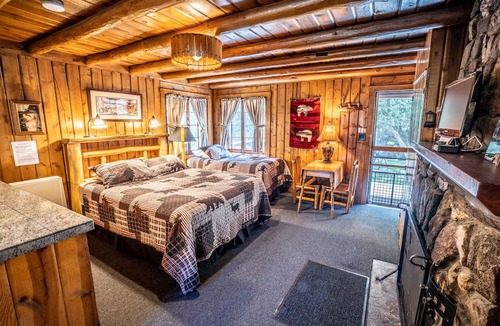 Evergreen Cabin | Colorado Bear Creek Cabin 8